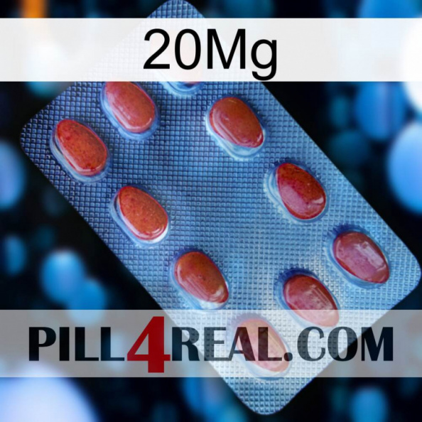 20Mg 06.jpg